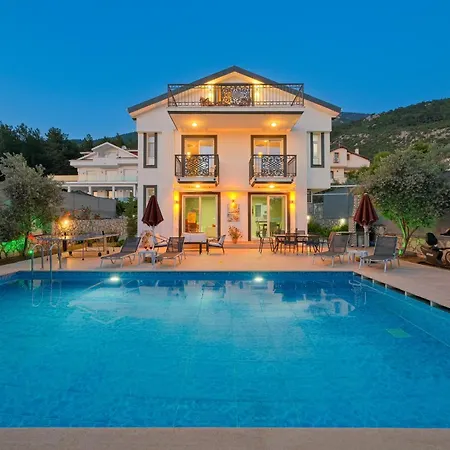 Villa Luxury Forest With Private Pool - Ovacik *