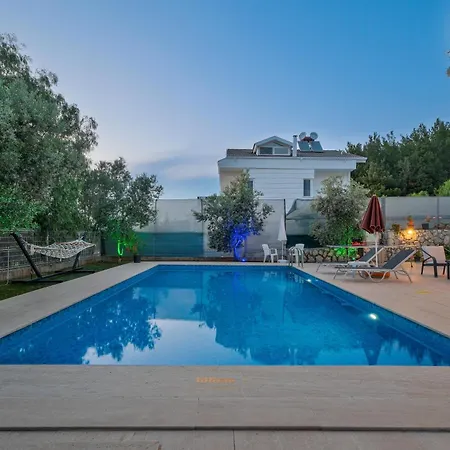 Luxury Forest With Private Pool - Ovacik Villa