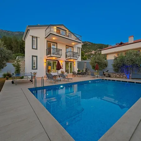 Villa Luxury Forest With Private Pool - Ovacik *
