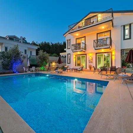 Luxury Forest With Private Pool - Ovacik Villa *