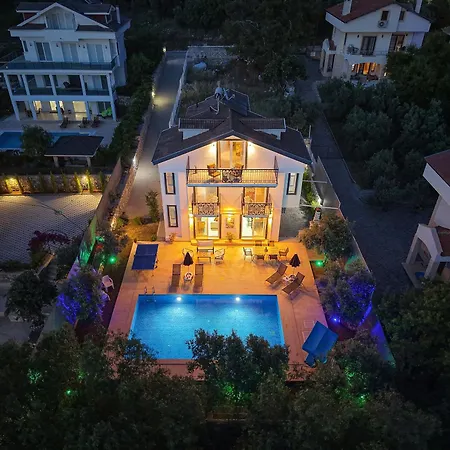 Luxury Forest With Private Pool - Ovacik Villa Fethiye