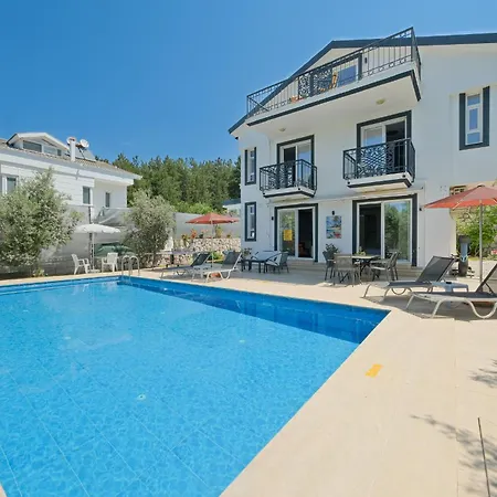 Villa Luxury Forest With Private Pool - Ovacik *