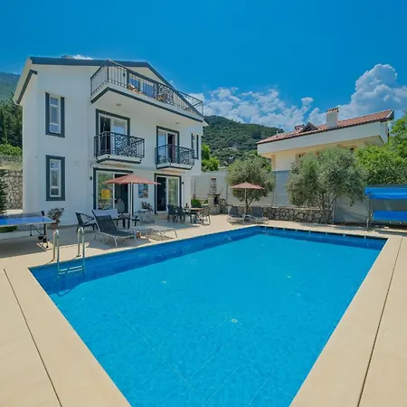 Luxury Forest With Private Pool - Ovacik Fethiye